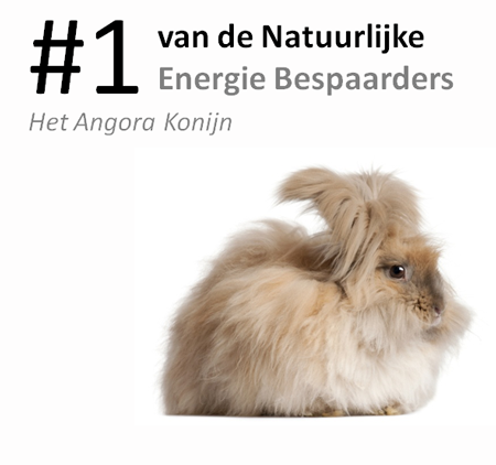 #1 van de natuurlijke energie bespaarders: het ang...